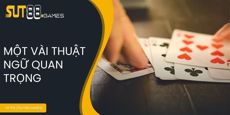 Một vài thuật ngữ quan trọng