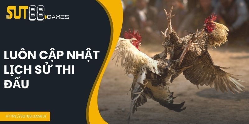 Luôn cập nhật lịch sử thi đấu