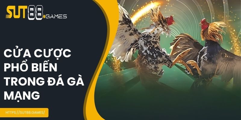 Các cửa cược chọi gà chính