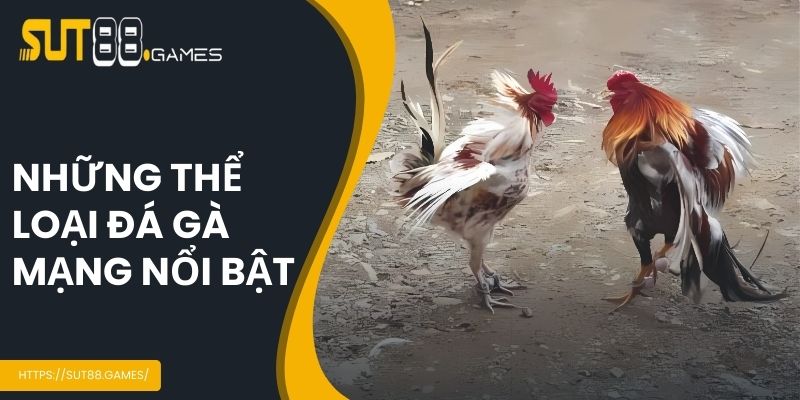 Phân loại đá gà phổ biến