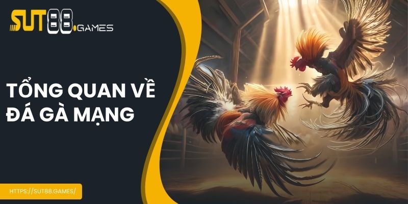 Tổng quan về đá gà mạng