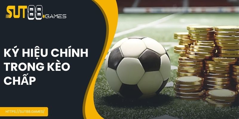 Ký hiệu chính trong cược chấp